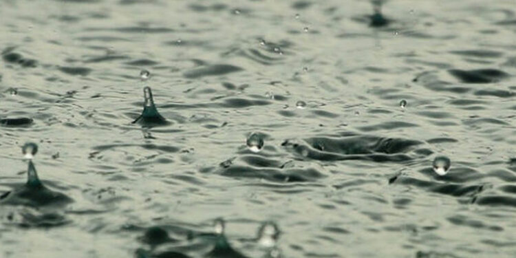 Stalowa Wola: Włącz się w tworzenie rozwiązań na skutki zmian klimatu w mieście