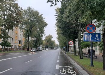 Mielec: Wymiana drzewostanu na młodszy?