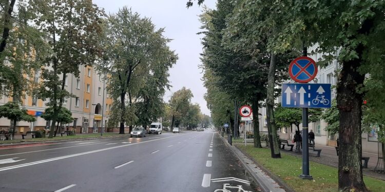 Mielec: Wymiana drzewostanu na młodszy?