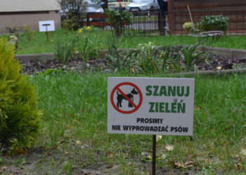 Stalowa Wola: EKO Azyl już służy mieszkańcom