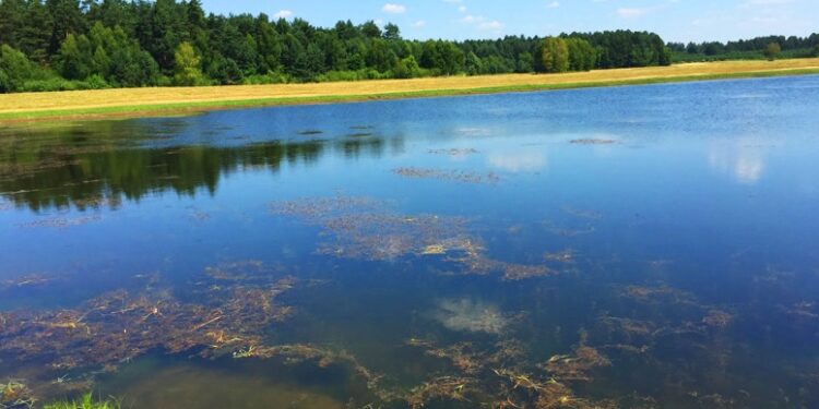 Borowa: Odmulony i oczyszczony zbiornik retencyjny