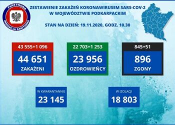 Tarnobrzeg, powiat tarnobrzeski. SARS-CoV-2. Aktualne statystyki sanepidu.
