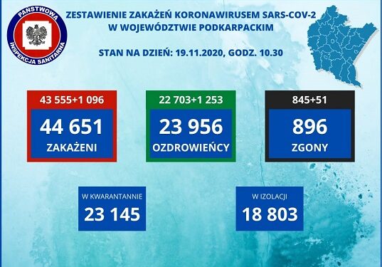 Tarnobrzeg, powiat tarnobrzeski. SARS-CoV-2. Aktualne statystyki sanepidu.