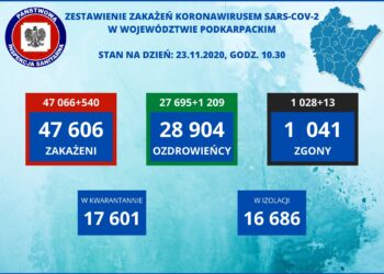 Tarnobrzeg, powiat tarnobrzeski. SARS-CoV-2. Aktualne statystyki sanepidu.