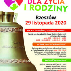 Rzeszów: Marsz dla Życia i Rodziny w Rzeszowie.