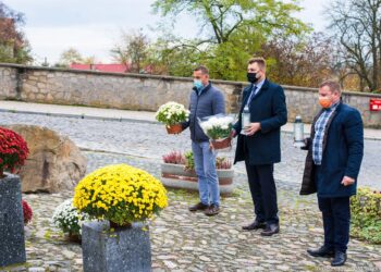 Sandomierz: Władze miasta włączają się w akcję kupowania chryzantem.