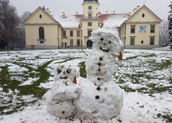Tarnobrzeg. Śniegowe bałwany.