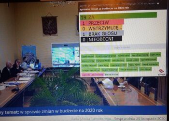 Tarnobrzeg. Radni zdecydowali. Duża kwota na kolekcję dzikowską.