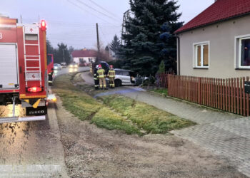 Sokolniki. Najpierw w płot, później w drzewo