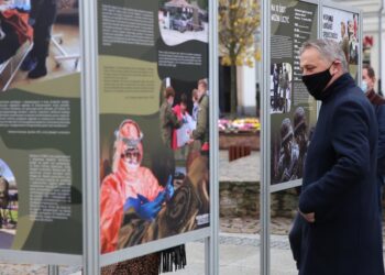 Region: Żołnierze WOT na wystawie