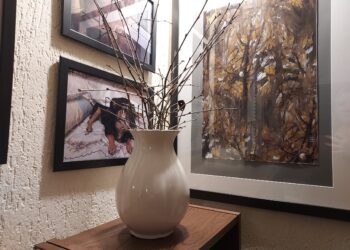 Sandomierz: Gałązka kwitnącej wiśni – barbórkowa tradycja Sandomierza.