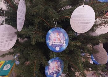 Sandomierz, Tarnobrzeg, Stalowa Wola, Opatów, Staszów: „Paczuszka dla Maluszka”.