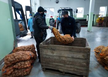 Sandomierz: Tona warzyw ze szkoły na Mokoszynie dla szpitala i bezdomnych.