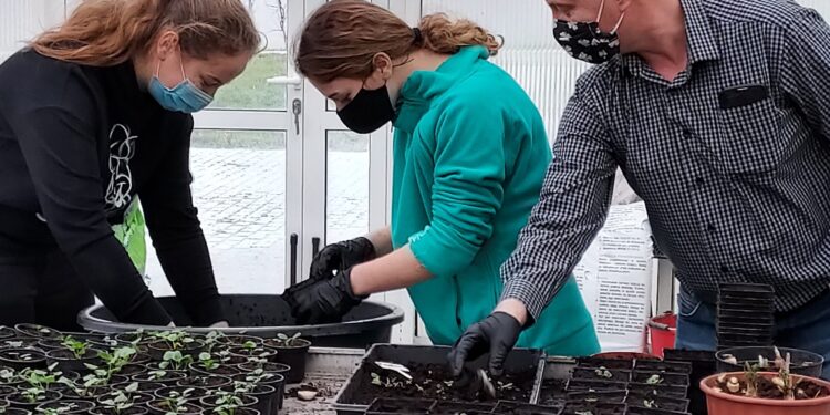 Sandomierz: Trwają prace w szkolnym gospodarstwie.