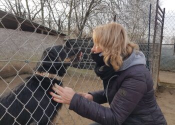 Rozmowa z Izabelą Płudowską, prezesem Stowarzyszenia „Chrońmy Zwierzęta” w Tarnobrzegu.