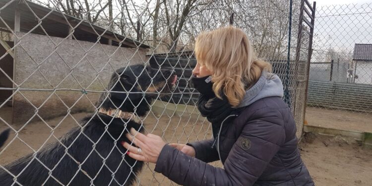 Rozmowa z Izabelą Płudowską, prezesem Stowarzyszenia „Chrońmy Zwierzęta” w Tarnobrzegu.