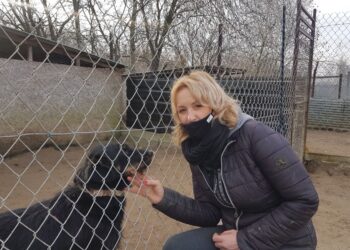 Rozmowa z Izabelą Płudowską, prezesem Stowarzyszenia „Chrońmy Zwierzęta” w Tarnobrzegu.