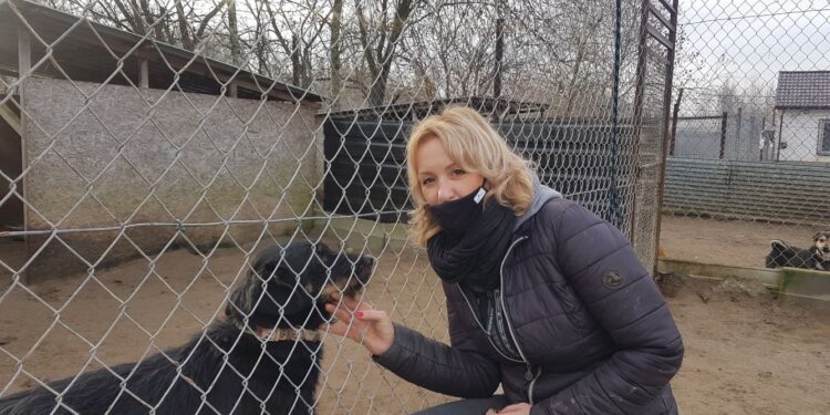 Rozmowa z Izabelą Płudowską, prezesem Stowarzyszenia „Chrońmy Zwierzęta” w Tarnobrzegu.