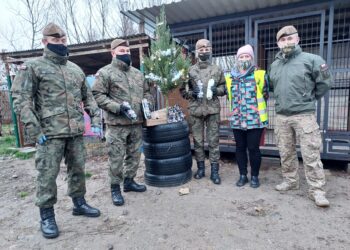 Sandomierz: Jak wygląda Gwiazdka w schronisku dla bezdomnych psów?