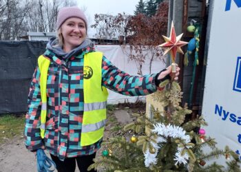 Sandomierz: Jak wygląda Gwiazdka w schronisku dla bezdomnych psów?