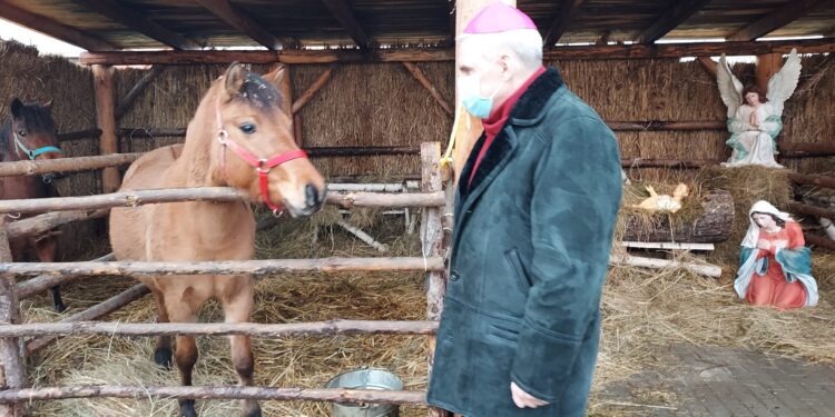Sandomierz: Żywa szopka po raz trzeci.
