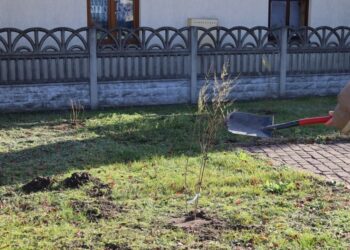 Tuszów Narodowa: Sadzimy drzewka