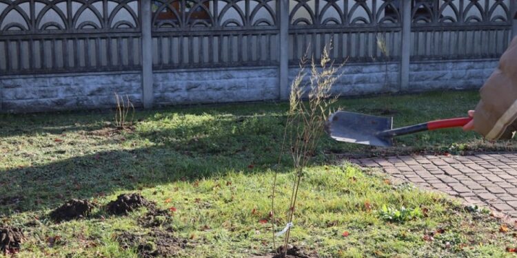 Tuszów Narodowa: Sadzimy drzewka