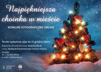 Sandomierz: „Najpiękniejsza choinka w mieście”.