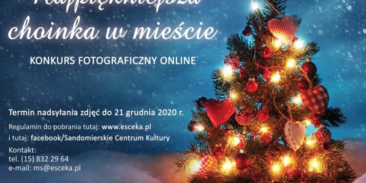 Sandomierz: „Najpiękniejsza choinka w mieście”.