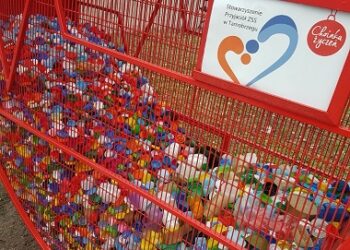 Tarnobrzeg. Dwa serca – pojemniki. Element „Choinki Życzeń”.