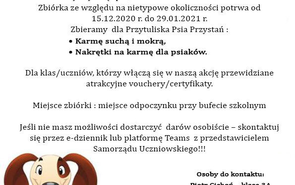 Nisko: Młodzież z RCEZ wspiera Przytulisko Psia Przystań