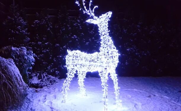 Przecław: Będzie świątecznie i kolorowo.