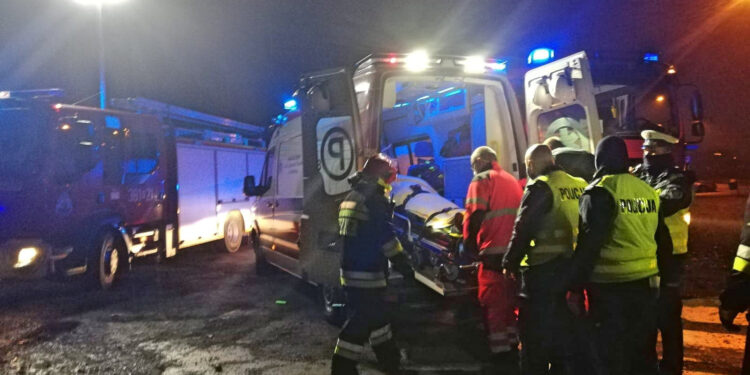 Tarnobrzeg. Autem w las