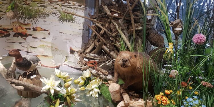 Tarnobrzeg, region. Konkurs plastyczny dla dzieci i młodzieży.