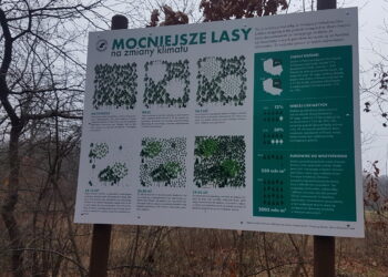 Tarnobrzeg. Rozmowy o przyszłości Zwierzyńca.