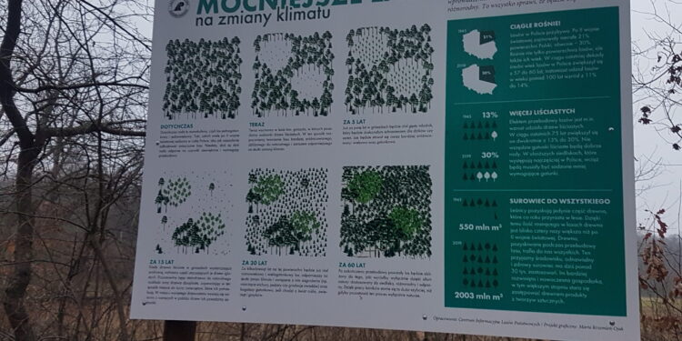 Tarnobrzeg. Rozmowy o przyszłości Zwierzyńca.