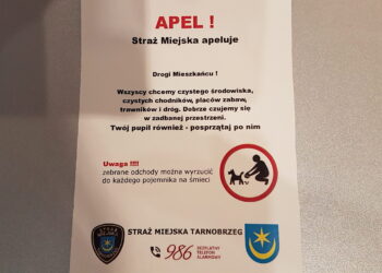 Tarnobrzeg. Psie miny. Właścicielu psa posprzątaj!