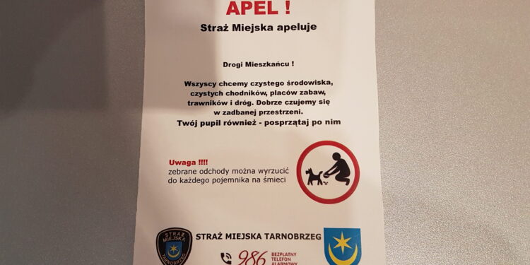 Tarnobrzeg. Psie miny. Właścicielu psa posprzątaj!