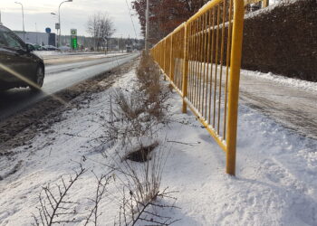 Tarnobrzeg. Nie będzie osłon chroniących rośliny przed solą.