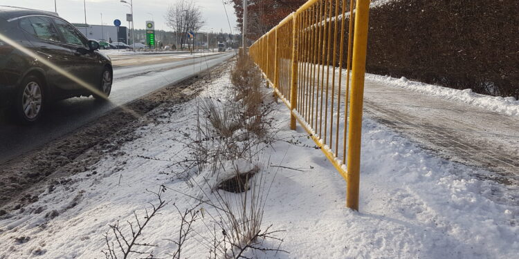 Tarnobrzeg. Nie będzie osłon chroniących rośliny przed solą.