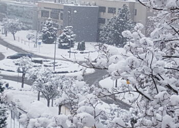 Tarnobrzeg. Do wczesnego popołudnia na drogach spokój.