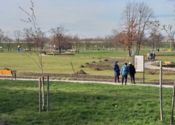 Tarnobrzeg. Zakończono duży projekt dotyczący miejskiej zieleni.