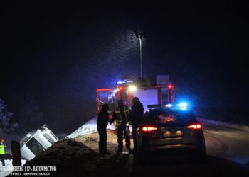 Grębów. Auto dostawcze wypadło z drogi
