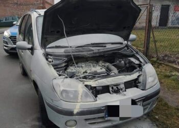 Baranów Sandomierski. Pożar osobowego Renault.