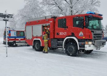 Nowa Dęba: Zdarzenie drogowe