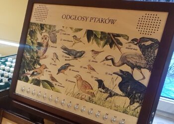 Tarnobrzeg, region. Konkurs fotograficzny dla dzieci.