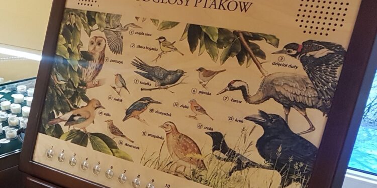 Tarnobrzeg, region. Konkurs fotograficzny dla dzieci.