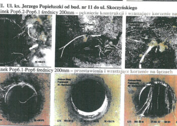 Stalowa Wola: O topolach z ulicy Popiełuszki na sesji powiatowej