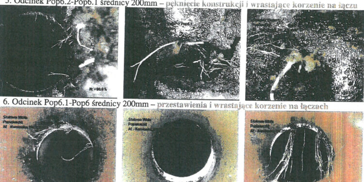 Stalowa Wola: O topolach z ulicy Popiełuszki na sesji powiatowej
