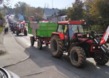 Opatów: Przeciwko „Piątce dla zwierząt”